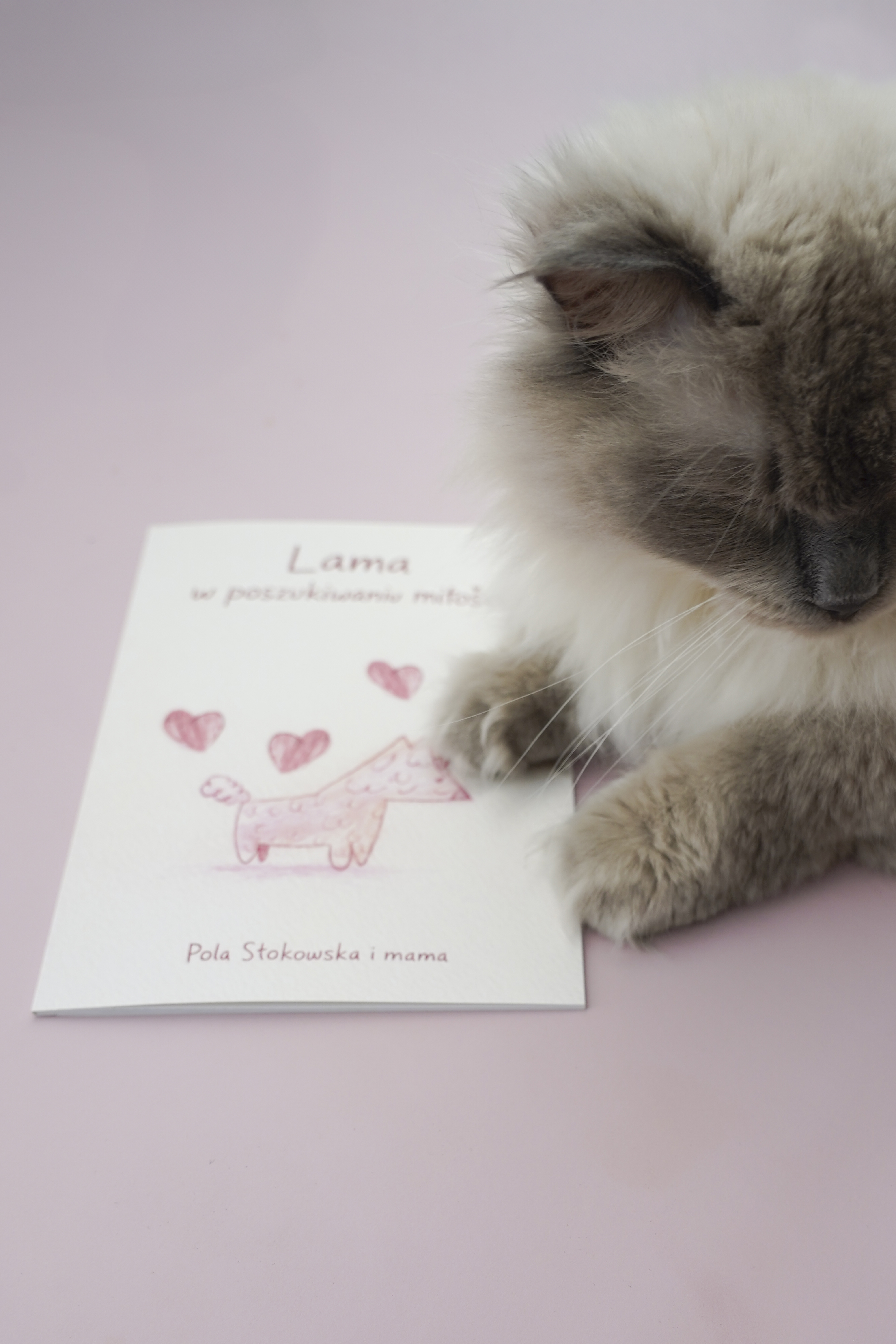 Lama w poszukiwaniu miłości – strony książki